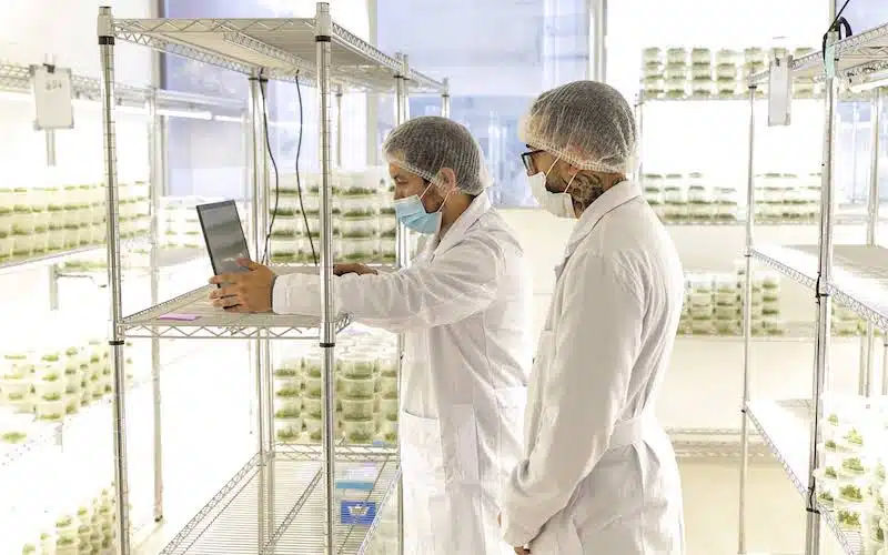 Botanical Solutions Inc team members in the samples room on laptop